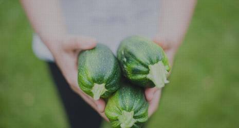 Comparativa de las cremas de verduras más suaves y apetitosas para que tu bebé disfrute de la hora de la comida.