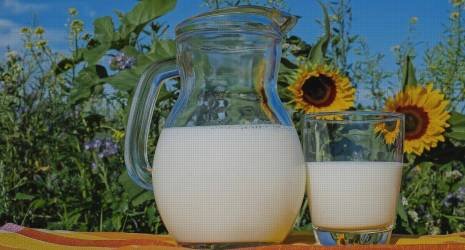 ¿Buscando fórmulas de leche de calidad? Descubre nuestras recomendaciones.